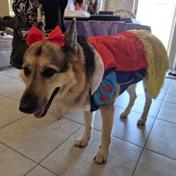 Other - MISS RUBY - HAPPY HALLOWEEN 2025!!